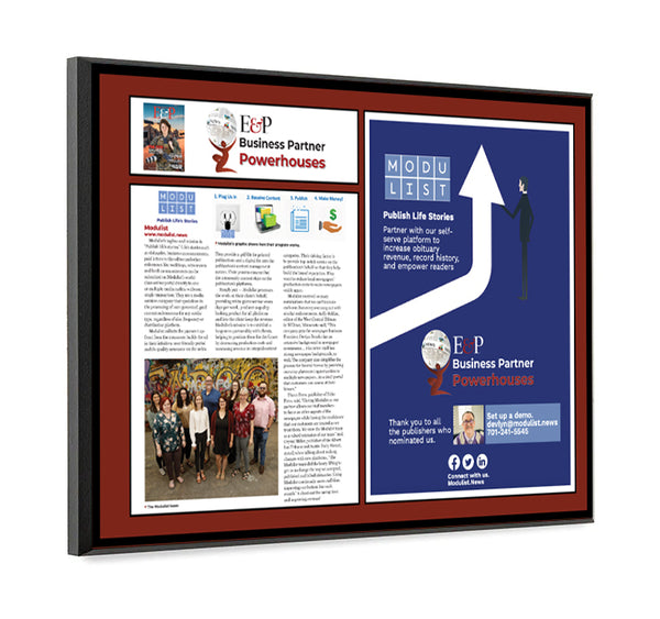 Editor & Publisher Award - Cover / Article / Congratulatory Ad Modern Hardi-Plaque